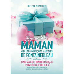Affiches A2 (42x59,4 cm) Bonne Fête Maman Cadeau bleu