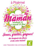 Affiches A3 (30x42 cm) Bonne Fête Maman papillon