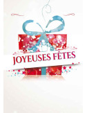 Affiches A2 (42x59,4 cm) Joyeuses Fêtes paquet cadeau multi