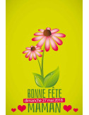 Drapeaux de façade spécifiques Bonne Fête Maman fleur Gerbera