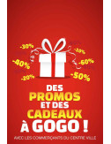 Drapeaux de façade spécifiques Promos Cadeaux