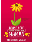 Guirlandes intérieures spécifiques Bonne Fête maman gerbera