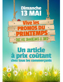 Affiches A3 (30x42 cm) Fête du printemps