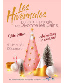 Affiches A2 (42x59,4 cm) Les Hivernales