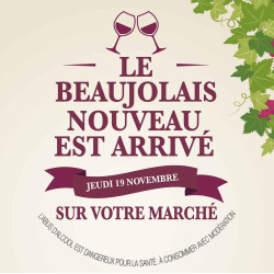 Stickers vitrine 40x40 cm Beaujolais 2020 Vignes