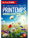 Affiches A3 (30x42 cm) Printemps