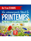 Tickets de tombola 10x10 Printemps