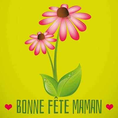 Bonne Fête Maman fleur Gerbera