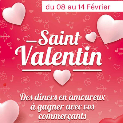 Saint Valentin Rose pale