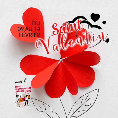 Saint Valentin fleur 